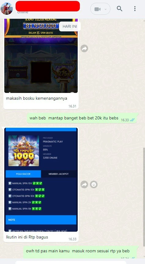81jt